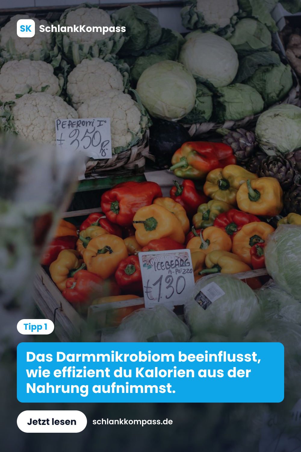Das Darmmikrobiom beeinflusst, wie effizient du Kalorien aus der Nahrung aufnimmst.