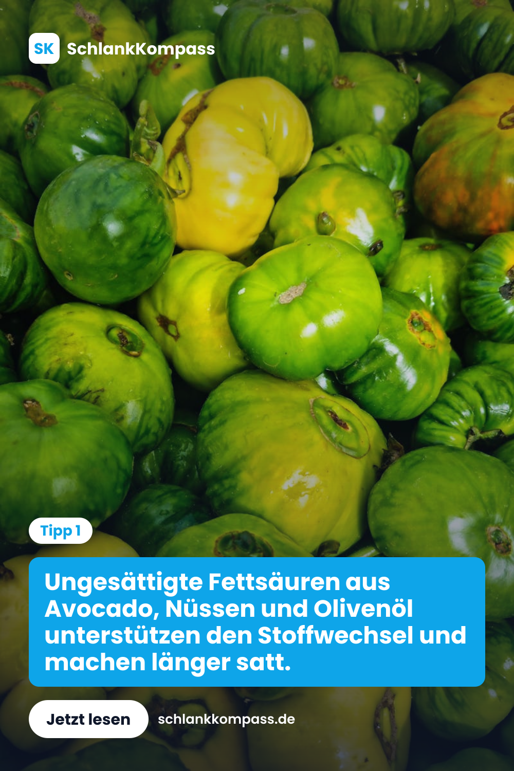 Ungesättigte Fettsäuren aus Avocado, Nüssen und Olivenöl unterstützen den Stoffwechsel und machen länger satt.