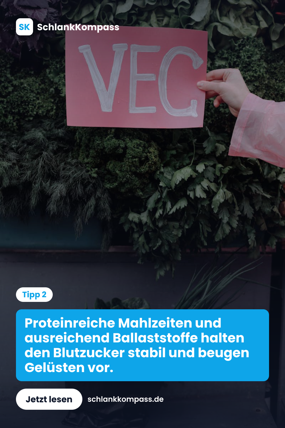 Proteinreiche Mahlzeiten und ausreichend Ballaststoffe halten den Blutzucker stabil und beugen Gelüsten vor.