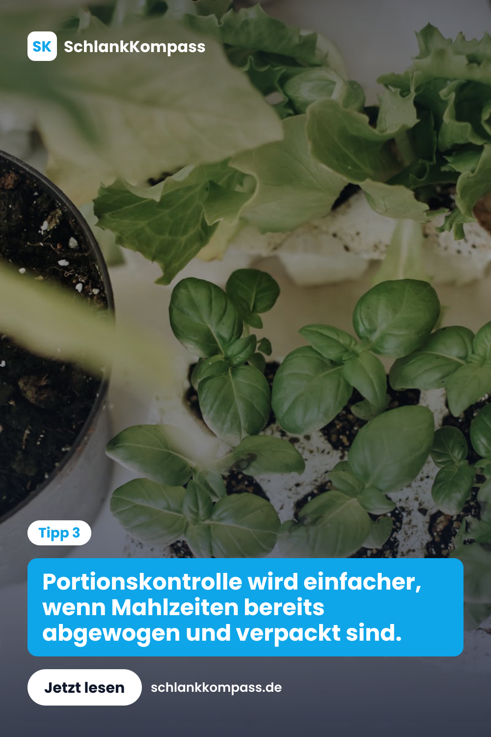 Portionskontrolle wird einfacher, wenn Mahlzeiten bereits abgewogen und verpackt sind.