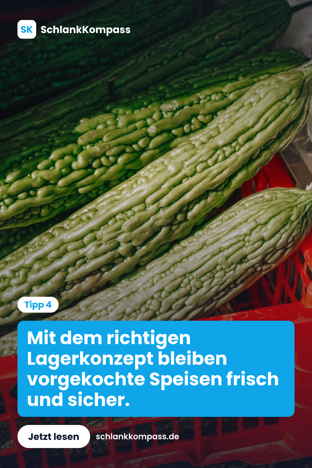 Mit dem richtigen Lagerkonzept bleiben vorgekochte Speisen frisch und sicher.