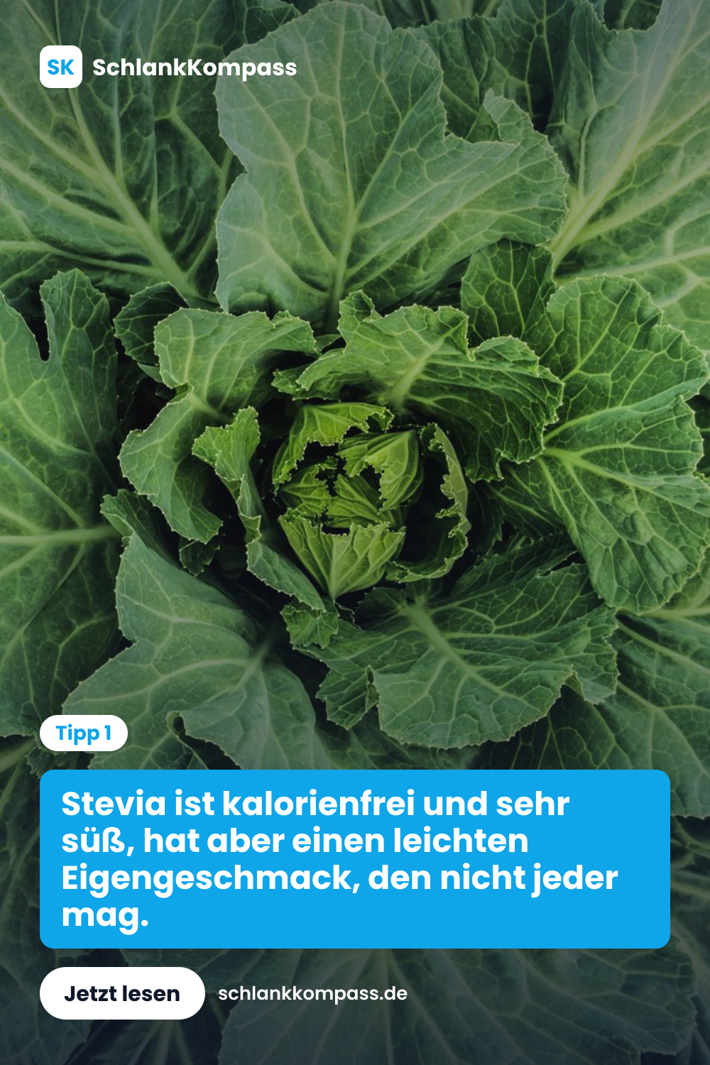 Stevia ist kalorienfrei und sehr süß, hat aber einen leichten Eigengeschmack, den nicht jeder mag.
